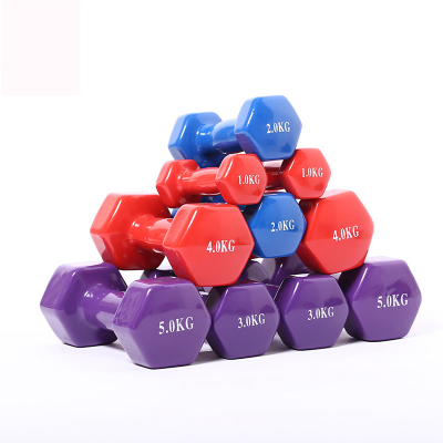 Hot Selling Dip Dumbbell Fitness Equipment Unisex Dumbbell Family Yoga Dumbbells Multi-Functional Fitness Dumbbells